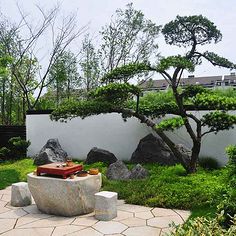 庭院设计 打造梦想庭院的关键要素与实用指南