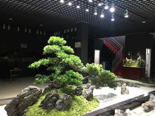 长沙枯山水室内外景观制作案例赏析——湖南绿蚁人庭院设计